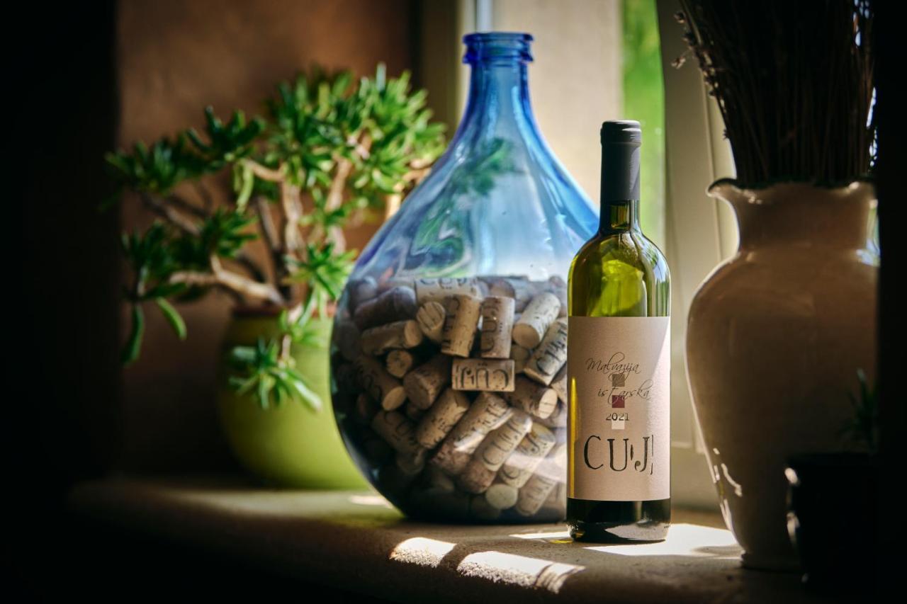 Winery Cuj Bed & Breakfast Vilanija Eksteriør billede